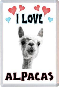 I Love Alpacas - Jumbo Fridge Magnet Souvenir Gift Present