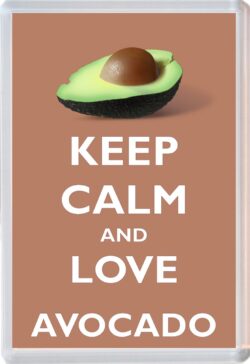 Keep Calm and Love Avacado - Jumbo Fridge Magnet Souvenir Gift Present