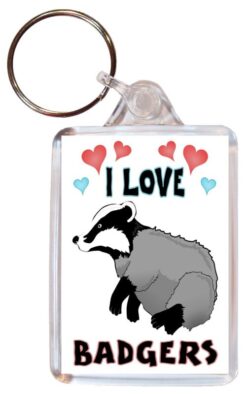 I Love Badgers - Double Sided Large Keyring Key Fob Chain Ring Name Tag Gift Present Souvenir