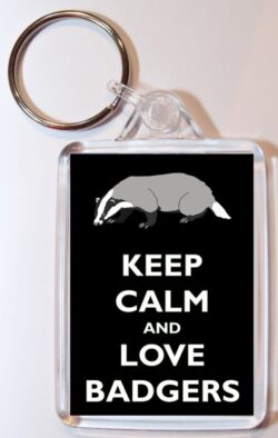 Keep Calm and Love Badgers - Double Sided Large Keyring Key Ring Fob Chain Name Tag Gift Present Souvenir