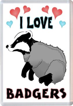 I Love Badgers - Jumbo Fridge Magnet Souvenir Gift Present