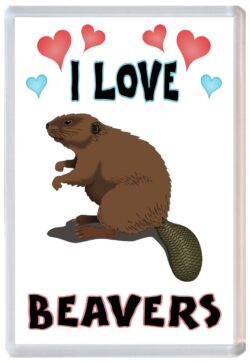 I Love Beavers - Jumbo Fridge Magnet Souvenir Gift Present