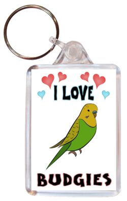 I Love Budgies - Double Sided Large Keyring Key Fob Chain Ring Name Tag Gift Present Souvenir