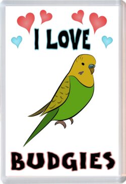 I Love Budgies - Jumbo Fridge Magnet Souvenir Gift Present