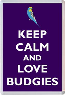 Keep Calm and Love Budgies - Jumbo Fridge Magnet Souvenir Gift Present
