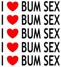 I Love Bum Sex - 5 PACK - Car Bumper Laptop Window Decal Sticker
