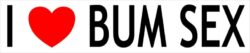 I Love Bum Sex - Car Bumper Laptop Window Decal Sticker