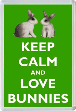 Keep Calm and Love Bunnies - Jumbo Fridge Magnet Souvenir Gift Present