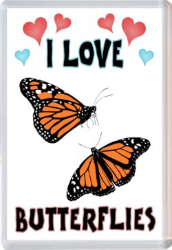 I Love Butterflies - Jumbo Fridge Magnet Souvenir Gift Present