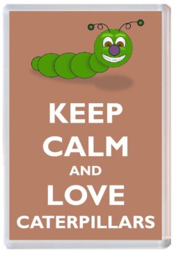 Keep Calm and Love Caterpillars - Jumbo Fridge Magnet Souvenir Gift Present