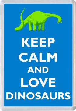 Keep Calm and Love Dinosaurs - Jumbo Fridge Magnet Souvenir Gift Present