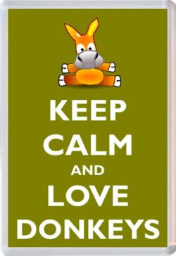 I Love Donkeys - Jumbo Fridge Magnet Souvenir Gift Present