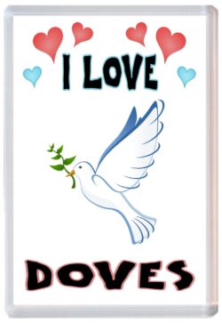 I Love Doves - Jumbo Fridge Magnet Souvenir Gift Present