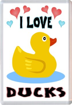 I Love Ducks - Jumbo Fridge Magnet Souvenir Gift Present