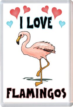 I Love Flamingos - Jumbo Fridge Magnet Souvenir Gift Present