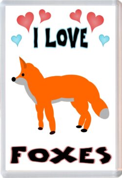 I Love Foxes - Jumbo Fridge Magnet Souvenir Gift Present