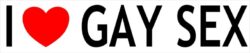 I Love Gay Sex - Car Bumper Laptop Window Decal Sticker