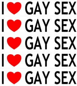 I Love Gay Sex - 5 PACK - Car Bumper Laptop Window Decal Sticker