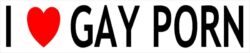 I Love Gay Porn - Car Bumper Laptop Window Decal Sticker