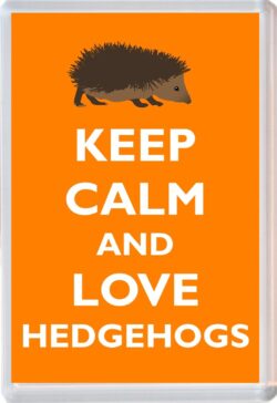Keep Calm and Love Hedgehogs - Jumbo Fridge Magnet Souvenir Gift Present