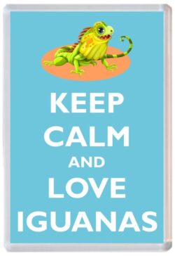 Keep Calm and Love Iguanas - Jumbo Fridge Magnet Souvenir Gift Present