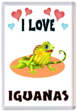 I Love Iguanas - Jumbo Fridge Magnet Souvenir Gift Present