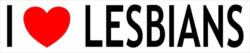 I Love Lesbians - Car Bumper Laptop Window Decal Sticker