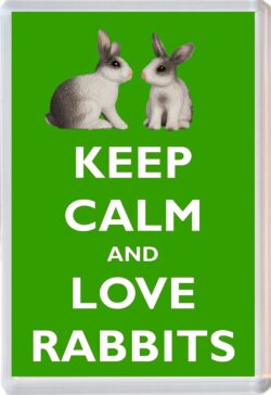 Keep Calm and Love Rabbits - Jumbo Fridge Magnet Souvenir Gift Present