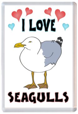 I Love Seagulls - Jumbo Fridge Magnet Souvenir Gift Present