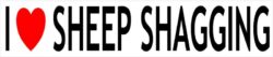 I Love Sheep Shagging - Car Bumper Laptop Window Decal Sticker