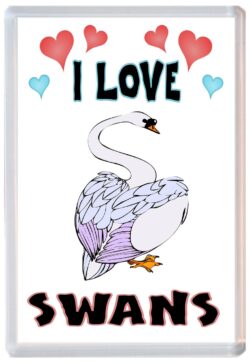I Love Swans - Jumbo Fridge Magnet Souvenir Gift Present
