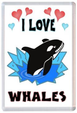 I Love Whales - Jumbo Fridge Magnet Souvenir Gift Present