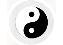Ying Yang - Car Tax Disc Permit Window Holder - Reuseable