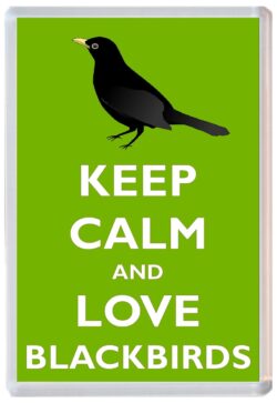 Keep Calm and Love Blackbirds - Jumbo Fridge Magnet Souvenir Gift Present