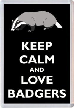 Keep Calm and Love Badgers/Badger - Jumbo Fridge Magnet Souvenir Gift Present