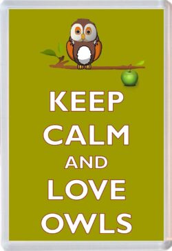 Keep Calm and Love Owls - Jumbo Fridge Magnet Souvenir Gift Present