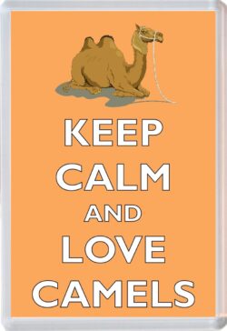 I Love Camels - Jumbo Fridge Magnet Souvenir Gift Present