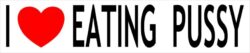 I Love Eating Pussy - Car Bumper Laptop Window Decal Sticker