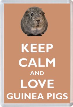 Keep Calm and Love Guinea Pigs - Jumbo Fridge Magnet Souvenir Gift Present