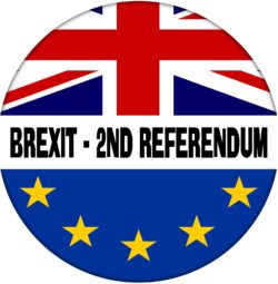 Brexit - 2nd Referedum - 59mm Badge Referendum Brexit European Union EU Vote Leave Stay