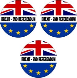 2nd Referendum - 3 PACK - 59mm Badge Referendum Brexit European Union EU Vote Leave Stay