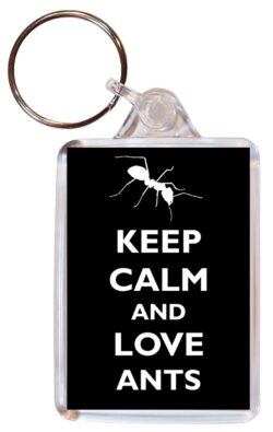 Keep Calm and Love Ants - Double Sided Large Keyring Key Ring Fob Chain Name Tag Gift Present Souvenir