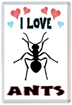 I Love Ants - Jumbo Fridge Magnet Souvenir Gift Present