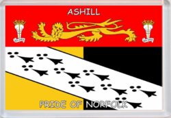Ashill - Pride of Norfolk County Flag - Jumbo Fridge Magnet Souvenir Gift