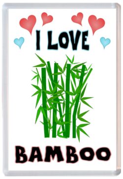 I Love Bamboo - Jumbo Fridge Magnet Souvenir Gift Present