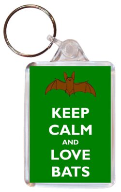 Keep Calm and Love Bats - Double Sided Large Keyring Key Ring Fob Chain Name Tag Gift Present Souvenir