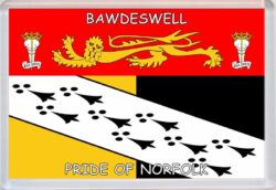 Bawdeswell - Pride of Norfolk County Flag - Jumbo Fridge Magnet Souvenir Gift