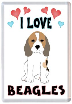 I Love Beagles - Jumbo Fridge Magnet Souvenir Gift Present