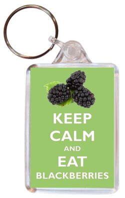 Keep Calm and Eat Blackberries - Double Sided Large Keyring Key Ring Fob Chain Name Tag Gift Present Souvenir