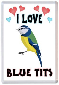 I Love Blue Tits - Jumbo Fridge Magnet Souvenir Gift Present